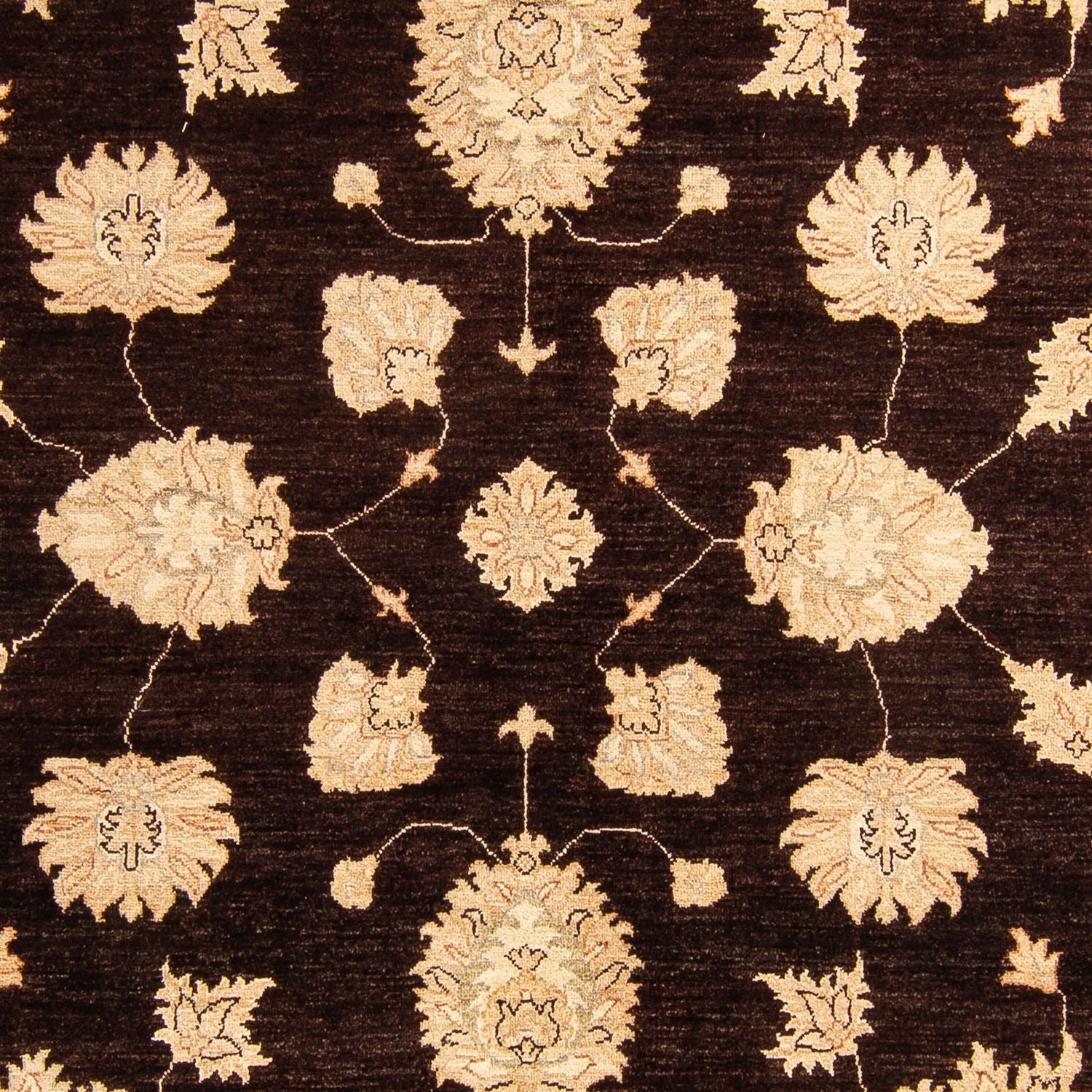 Tappeto Ziegler - 288 x 207 cm - marrone scuro