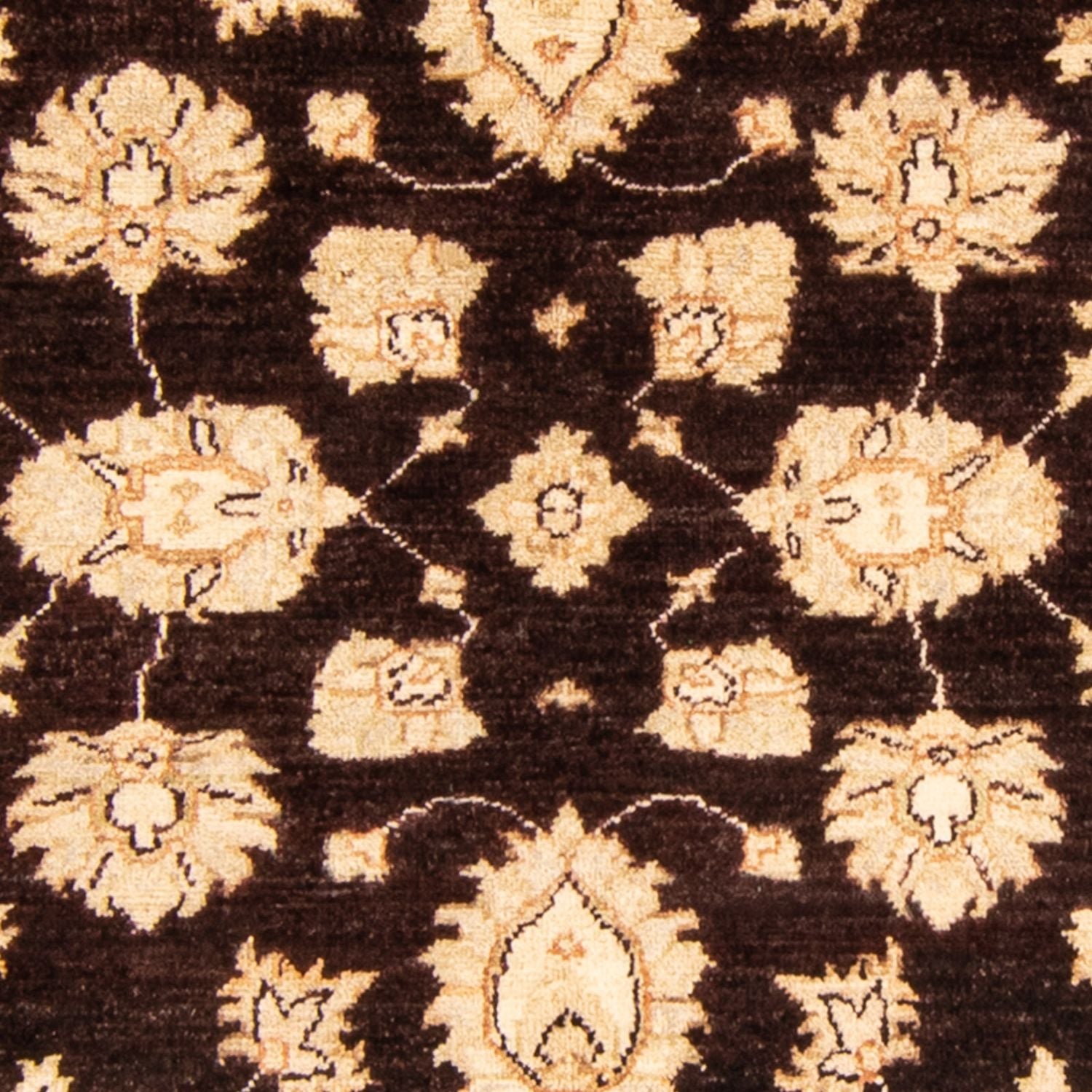 Tappeto Ziegler - 166 x 118 cm - marrone scuro