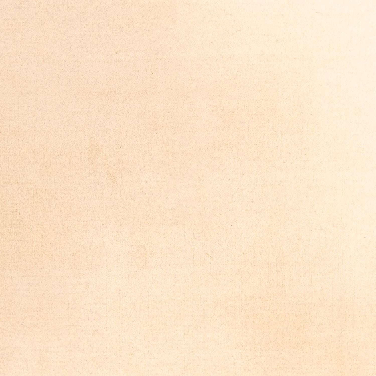 Tappeto Gabbeh - Softy - 288 x 205 cm - beige