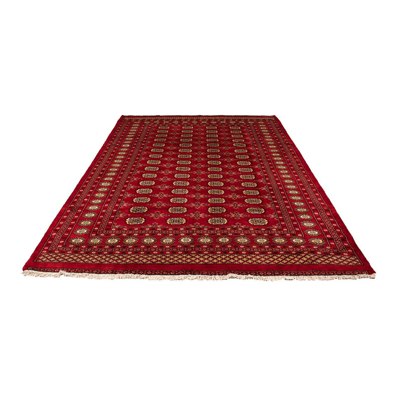 Tappeto Pakistani - 307 x 208 cm - rosso scuro