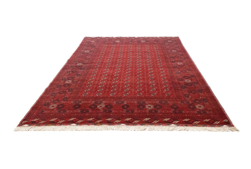 Tappeto afgano - Bukhara - 299 x 198 cm - rosso scuro