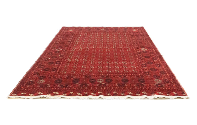 Tappeto afgano - Bukhara - 295 x 199 cm - rosso scuro