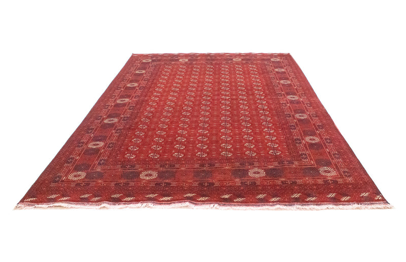 Tappeto afgano - Bukhara - 297 x 198 cm - rosso scuro