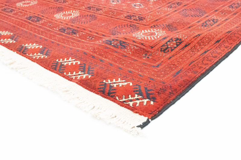 Tappeto afgano - Bukhara - 293 x 196 cm - rosso
