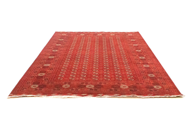 Tappeto afgano - Bukhara - 293 x 203 cm - rosso