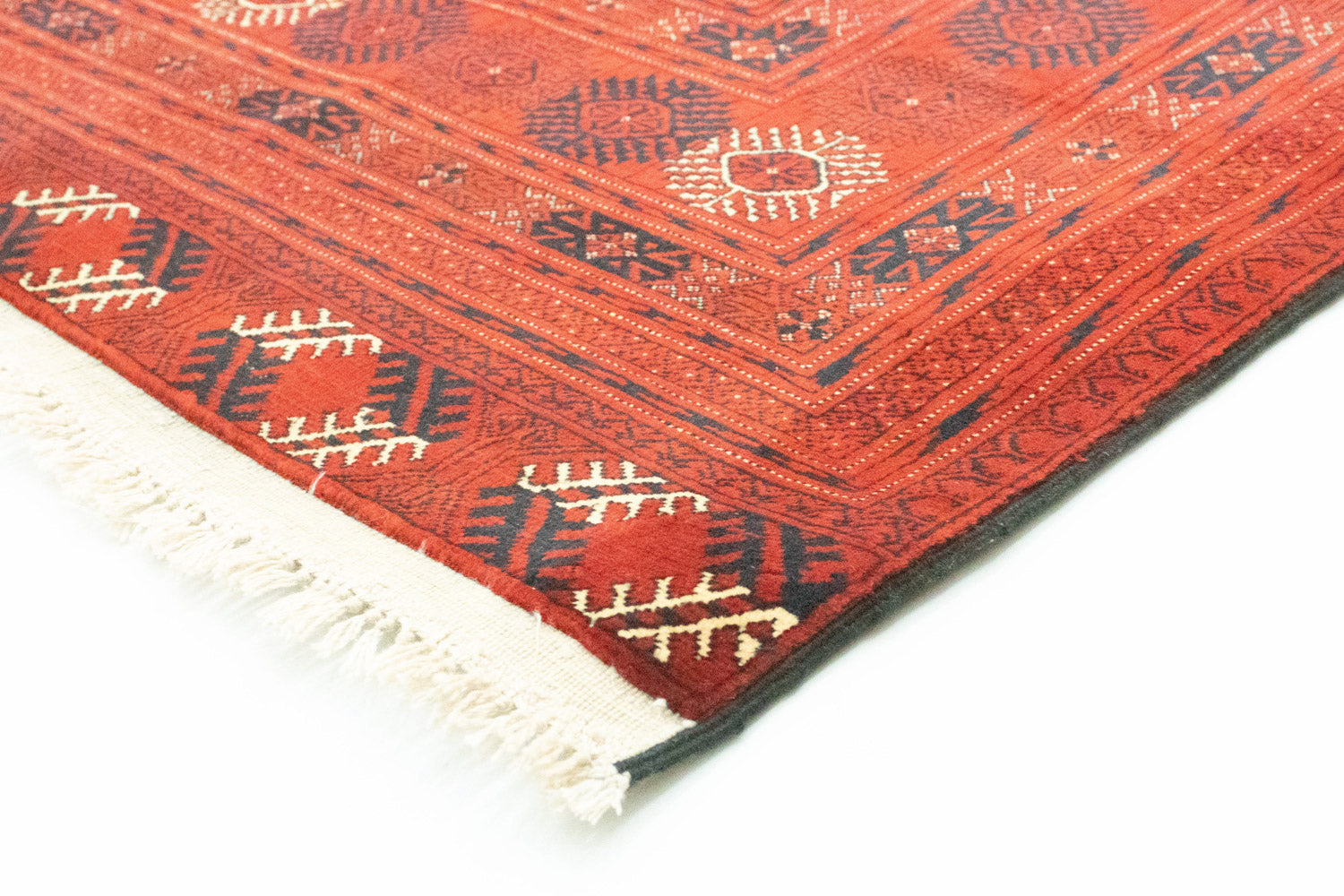 Tappeto afgano - Bukhara - 295 x 192 cm - marrone scuro