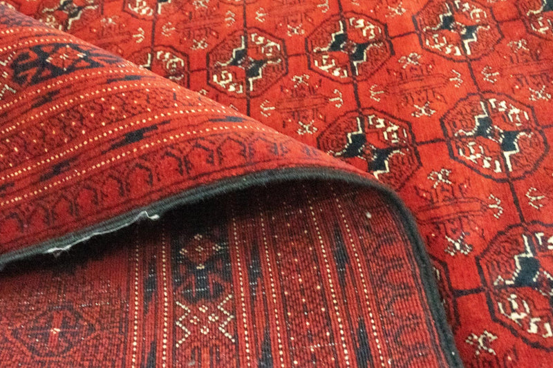 Tappeto afgano - Bukhara - 295 x 192 cm - marrone scuro