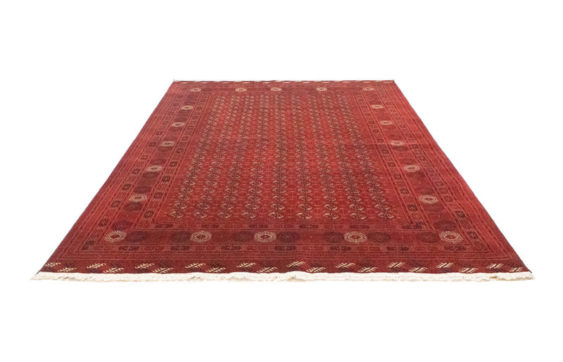Tappeto afgano - Bukhara - 295 x 192 cm - marrone scuro