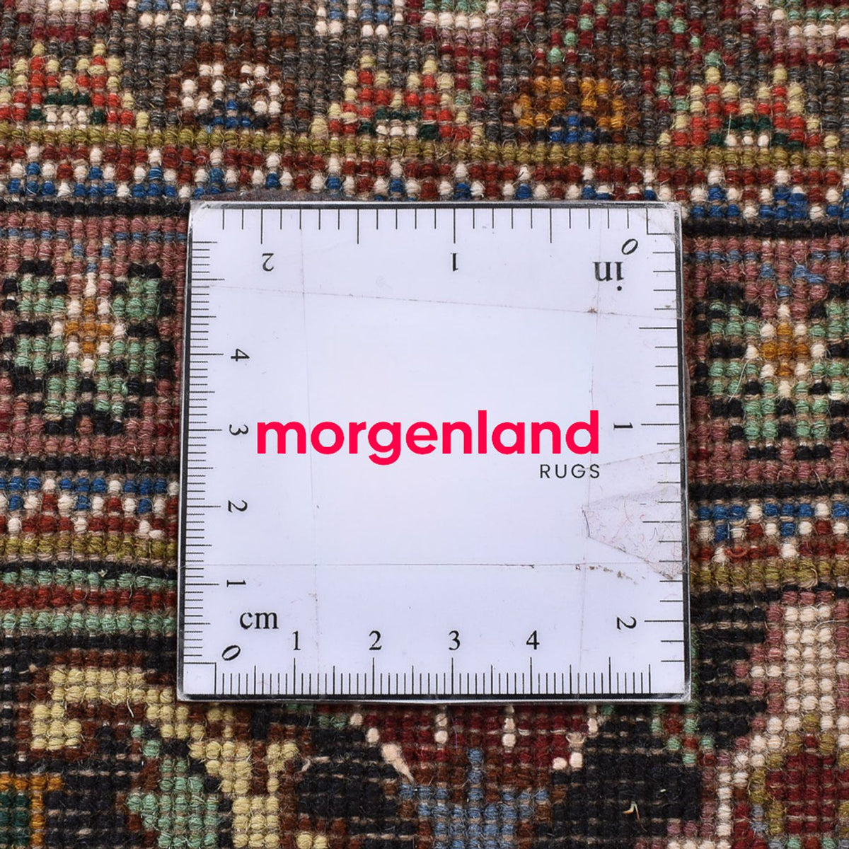 Tappeto Persero - Tabriz - Reale quadrato  - 207 x 204 cm - marrone