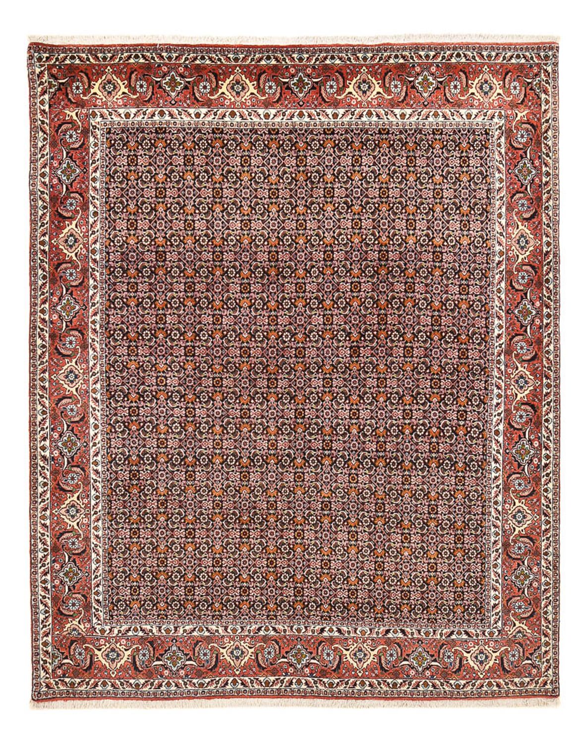 Tappeto Persero - Bidjar - 264 x 204 cm - ruggine