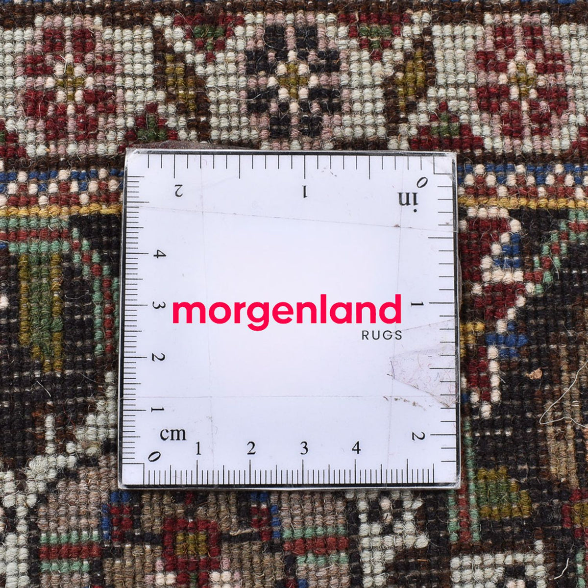 Tappeto Persero - Tabriz - Reale quadrato  - 202 x 196 cm - marrone chiaro