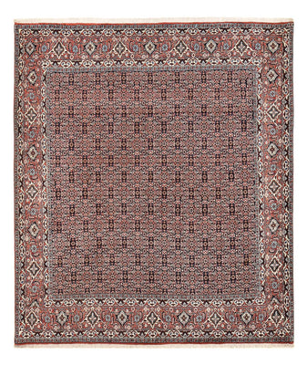 Tappeto Persero - Bidjar - 243 x 206 cm - ruggine