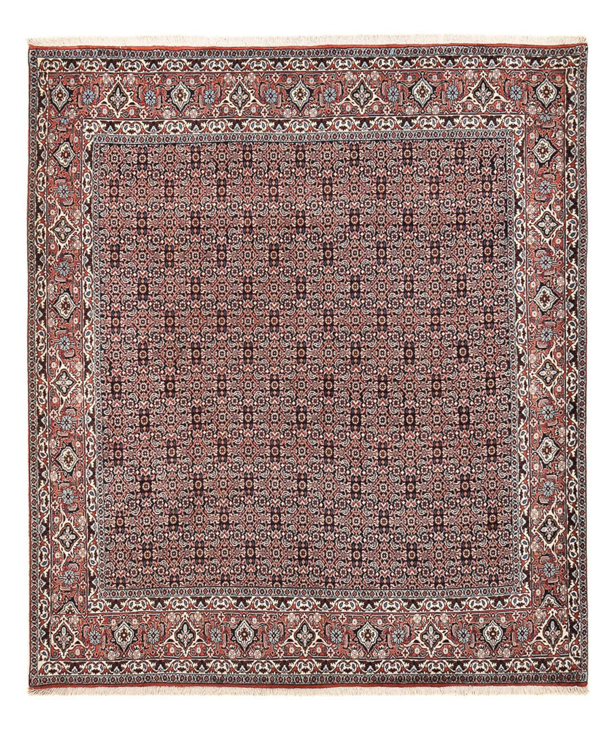 Tappeto Persero - Bidjar - 243 x 206 cm - ruggine