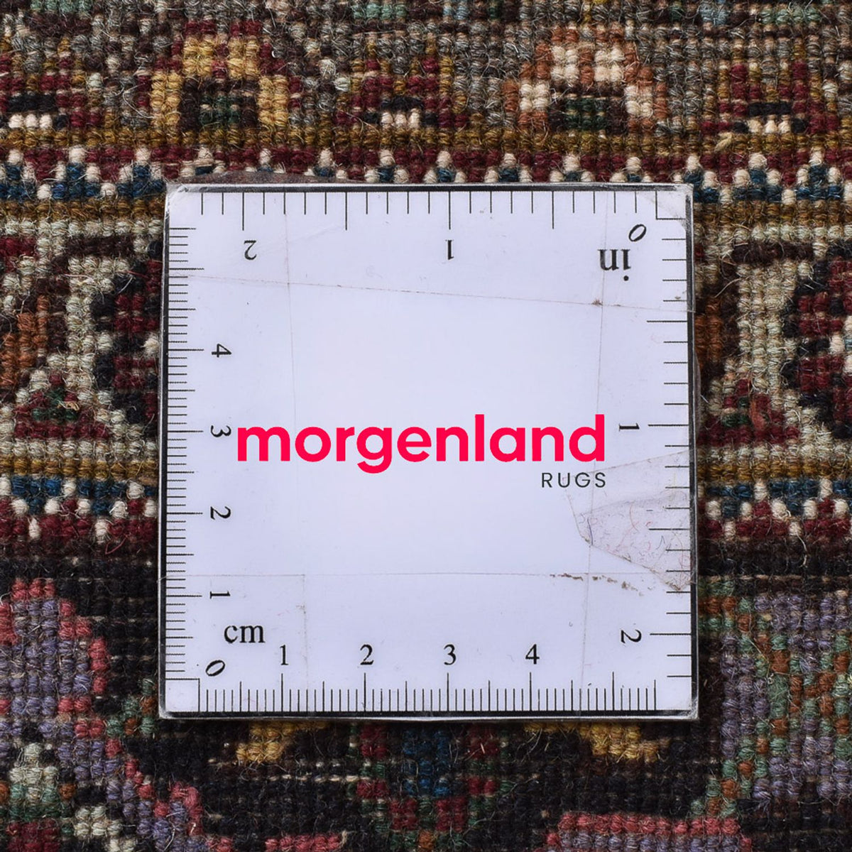 Tappeto Persero - Tabriz - Reale quadrato  - 204 x 204 cm - marrone