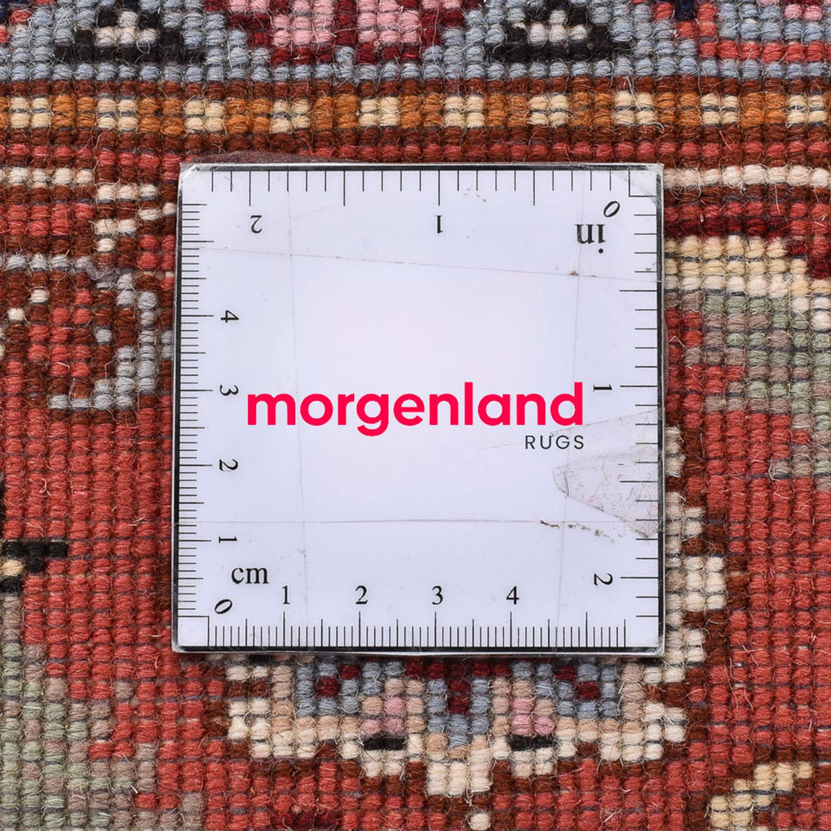 Tappeto Persero - Tabriz - Reale quadrato  - 216 x 195 cm - crema