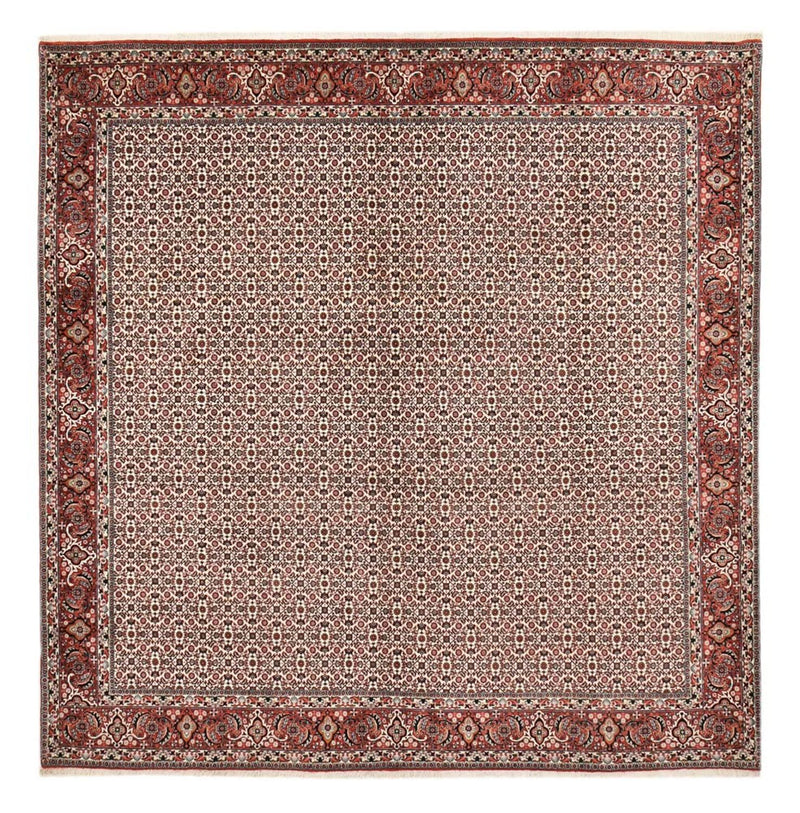 Tappeto Persero - Bidjar quadrato  - 306 x 304 cm - ruggine