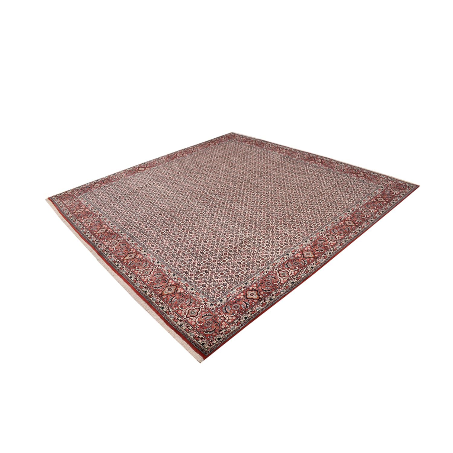 Tappeto Persero - Bidjar quadrato  - 306 x 304 cm - ruggine