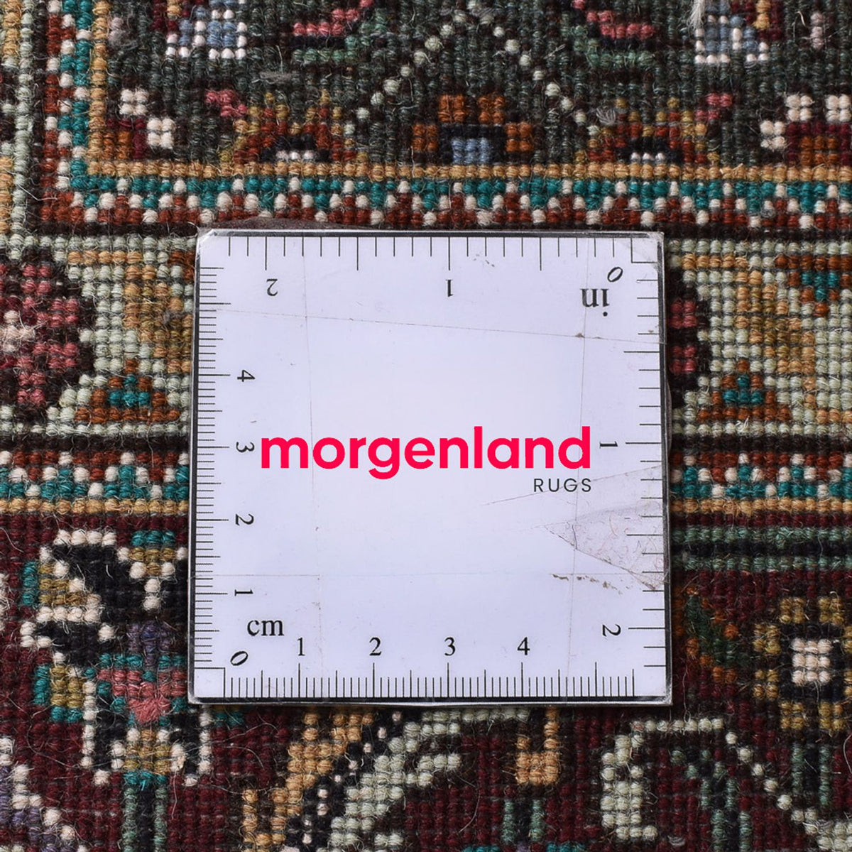 Tappeto Persero - Tabriz - Reale quadrato  - 203 x 200 cm - sabbia