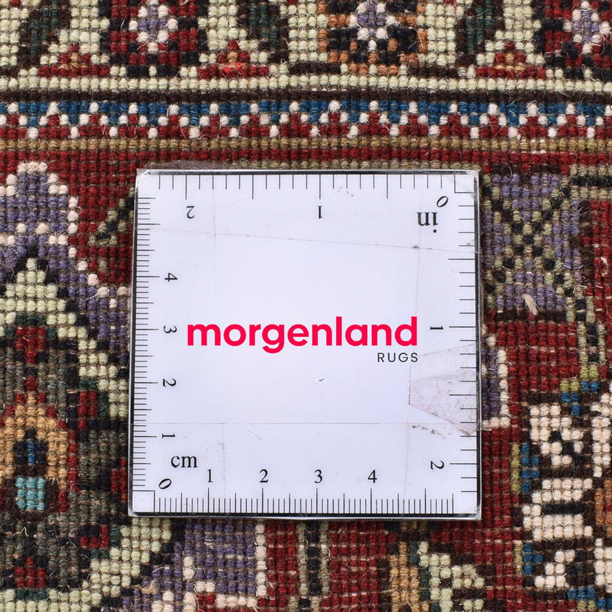 Tappeto Persero - Tabriz - Reale quadrato  - 204 x 198 cm - marrone chiaro