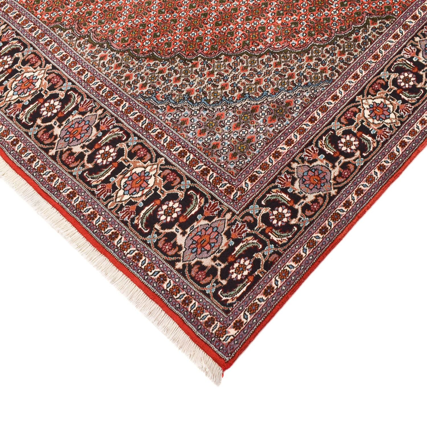 Tappeto Persero - Tabriz - Reale quadrato  - 245 x 245 cm - ruggine