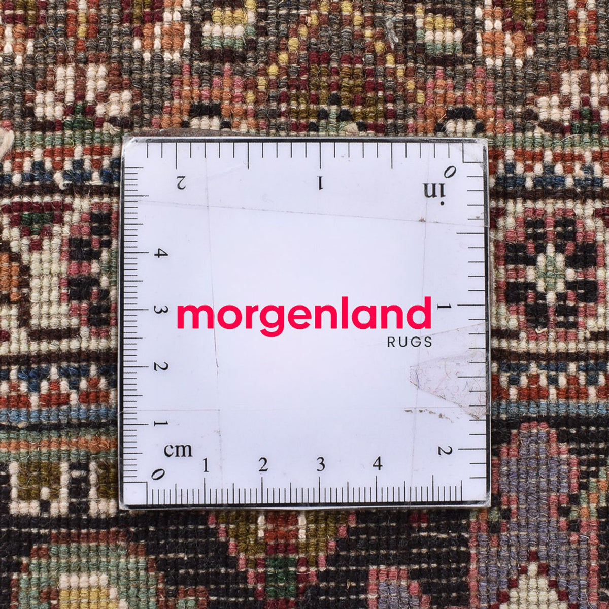 Tappeto Persero - Tabriz - Reale quadrato  - 198 x 194 cm - marrone chiaro