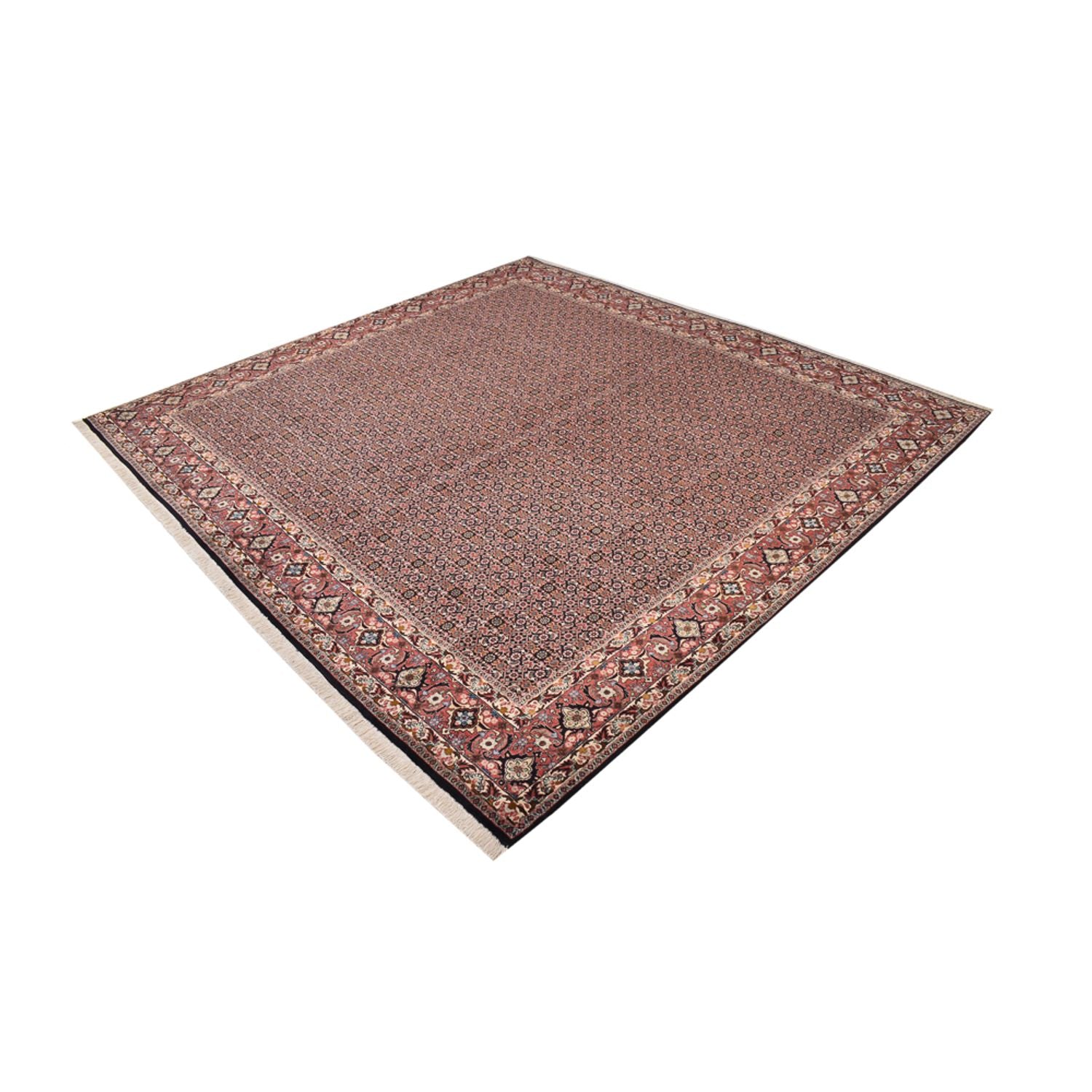 Tappeto Persero - Bidjar quadrato  - 303 x 293 cm - ruggine