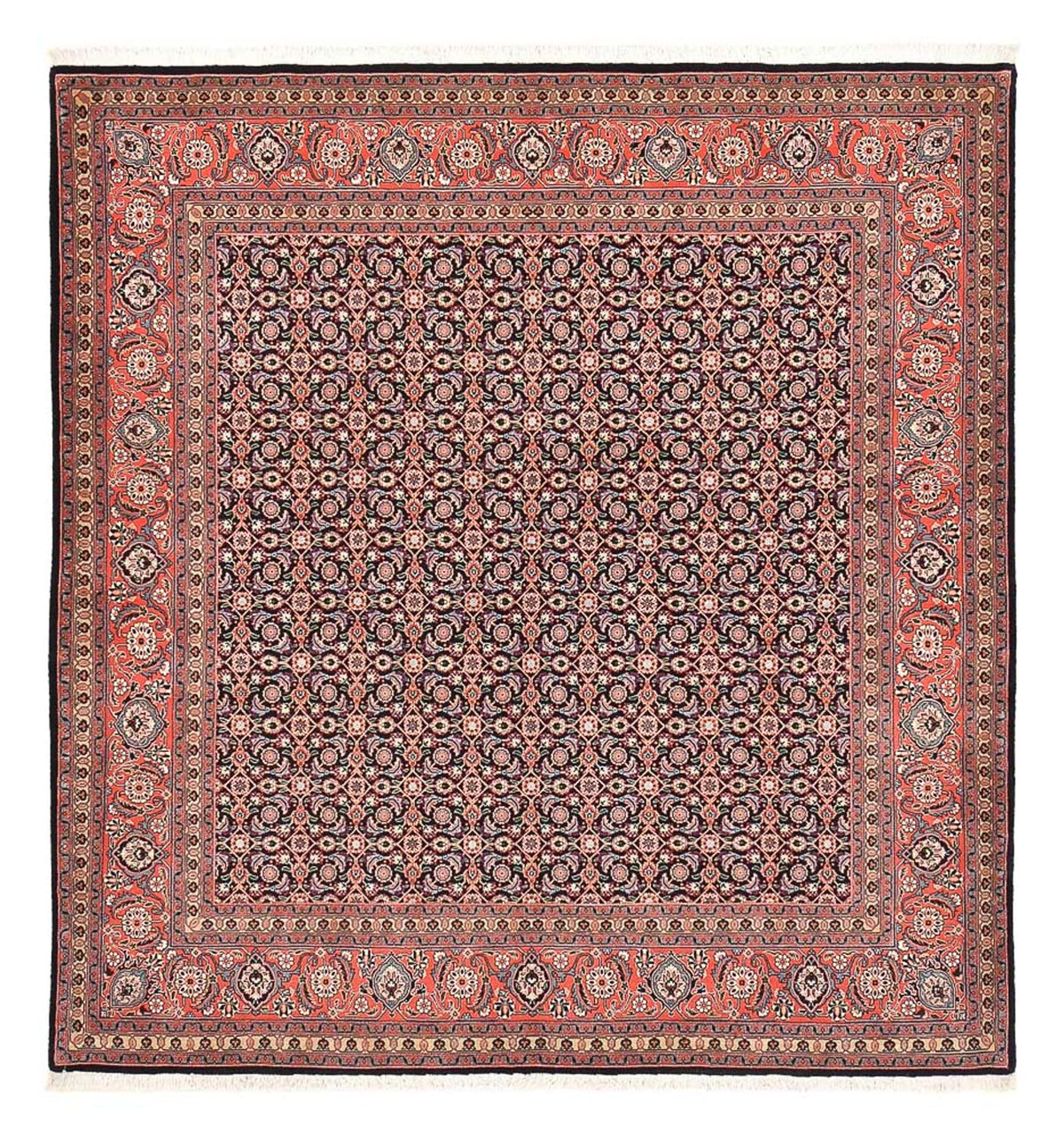 Tappeto Persero - Tabriz - Reale quadrato  - 210 x 200 cm - rosso chiaro