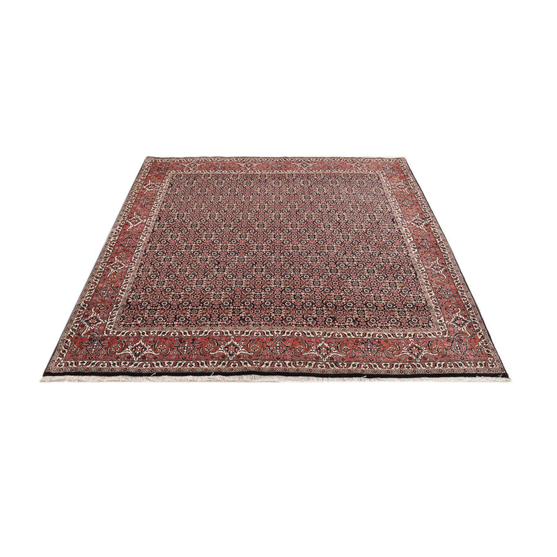 Tappeto Persero - Bidjar quadrato  - 205 x 205 cm - ruggine