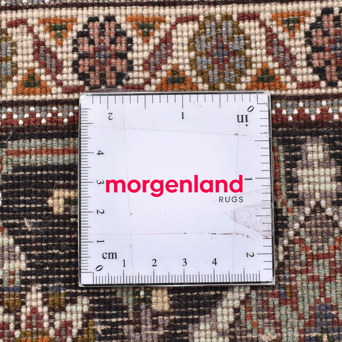 Tappeto Persero - Tabriz - Reale quadrato  - 207 x 200 cm - marrone