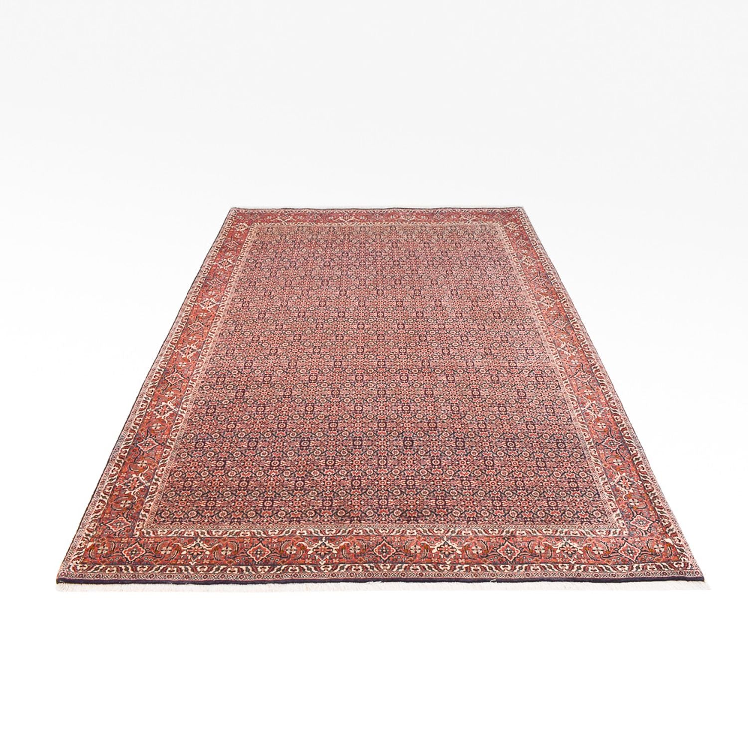 Tappeto Persero - Bidjar - 305 x 203 cm - ruggine
