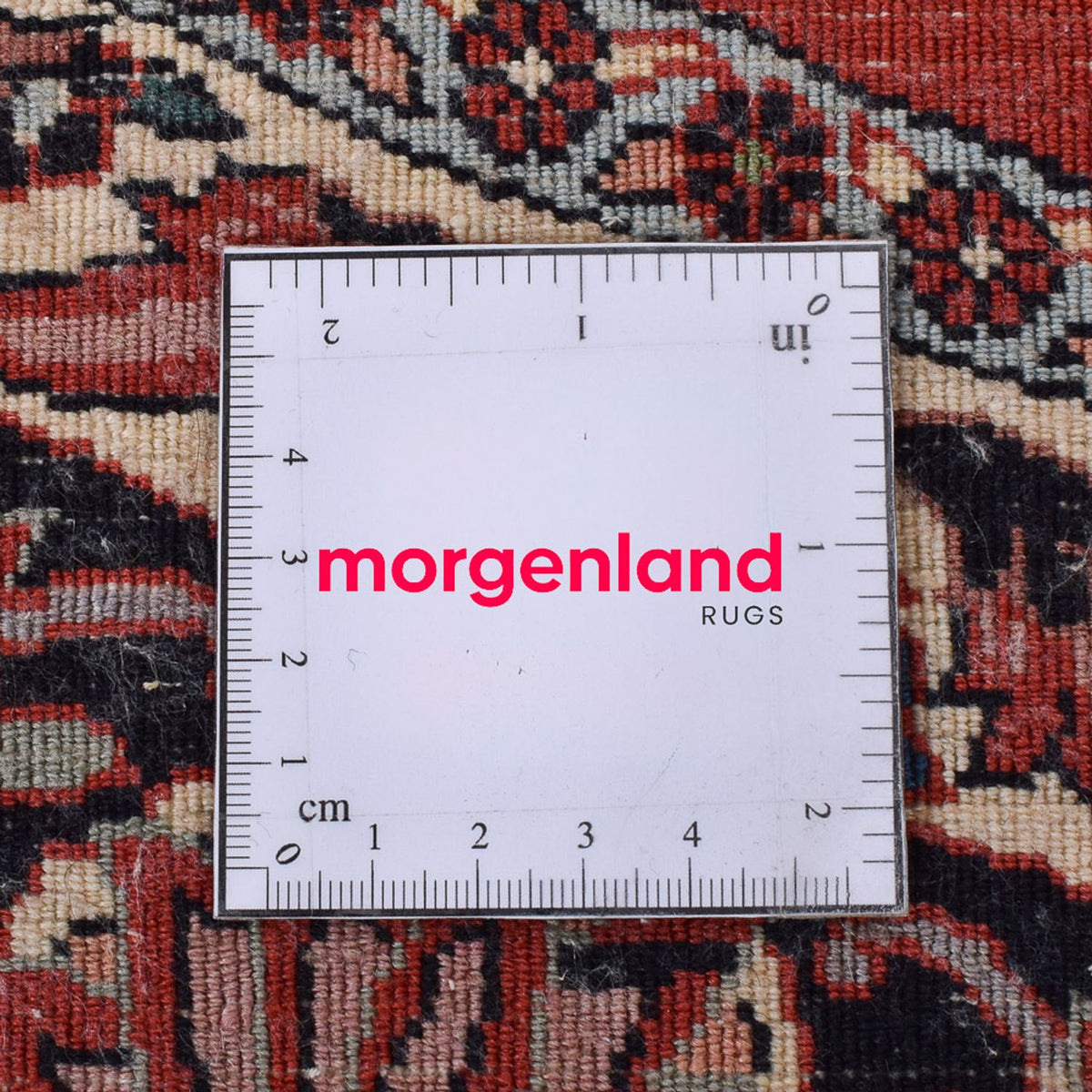 Tappeto Persero - Bidjar rotondo  - 250 x 250 cm - multicolore