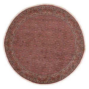 Tappeto Persero - Bidjar rotondo  - 255 x 255 cm - ruggine