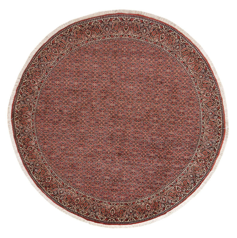 Tappeto Persero - Bidjar rotondo  - 255 x 255 cm - ruggine
