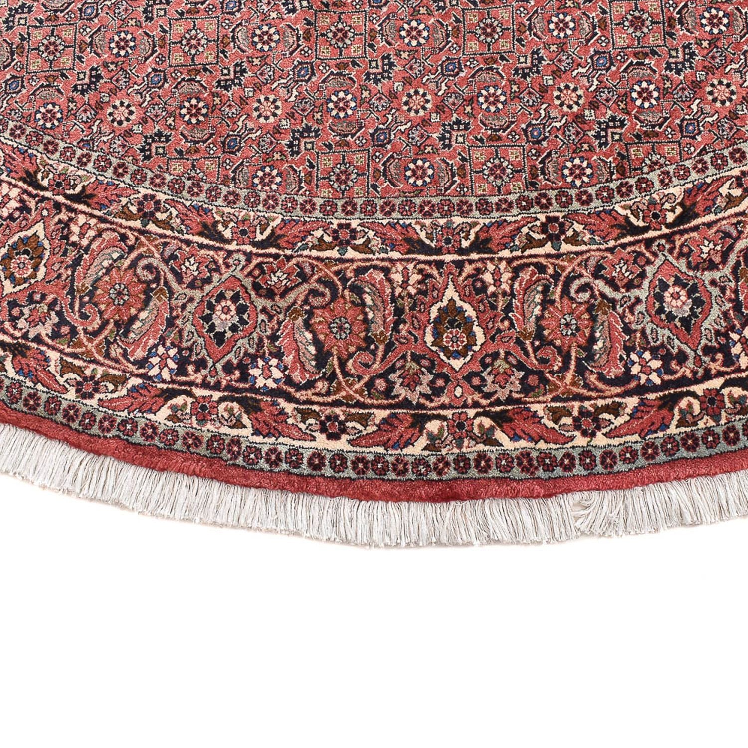 Tappeto Persero - Bidjar rotondo  - 255 x 255 cm - ruggine