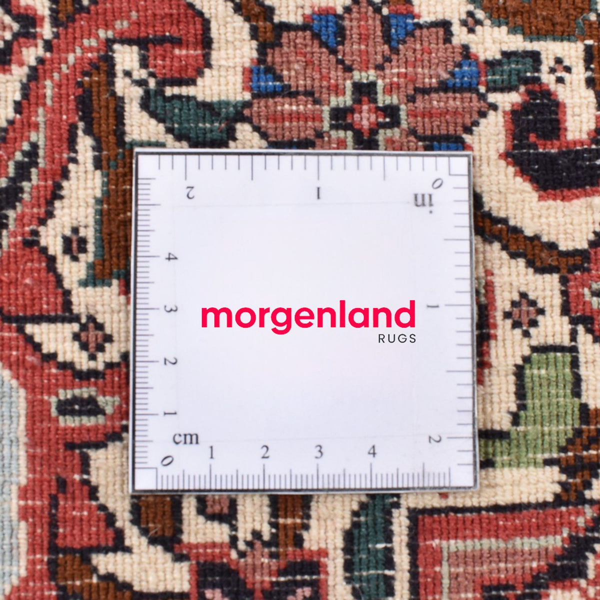 Tappeto Persero - Bidjar rotondo  - 300 x 300 cm - rosso bordeaux