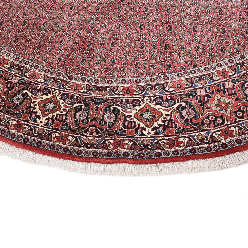 Tappeto Persero - Bidjar rotondo  - 300 x 300 cm - ruggine