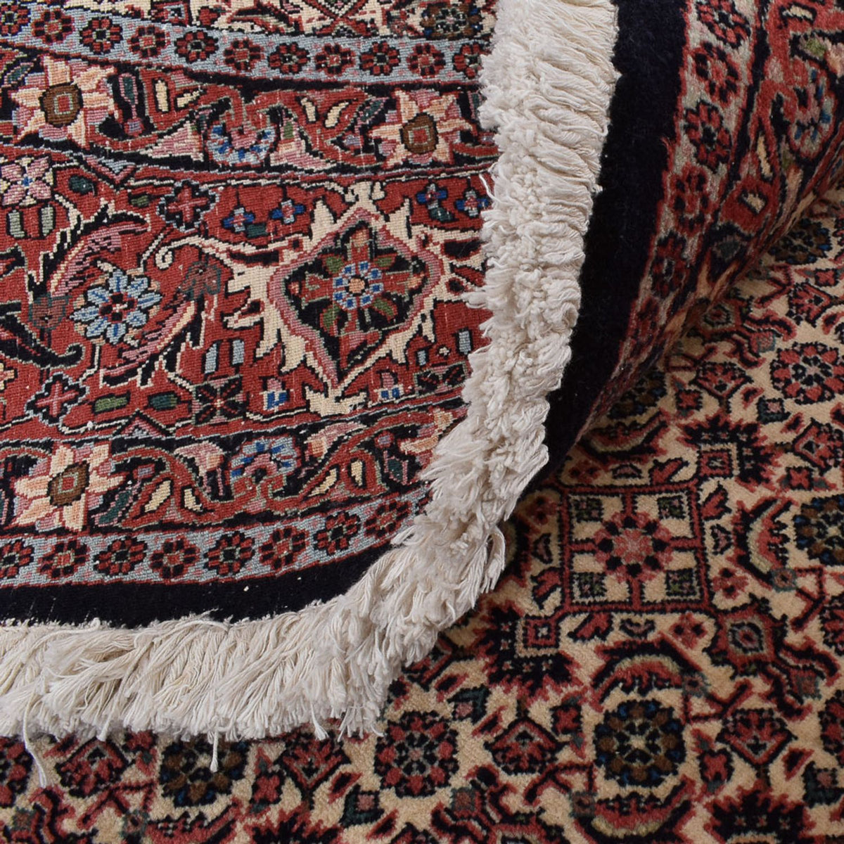 Tappeto Persero - Bidjar rotondo  - 250 x 250 cm - ruggine