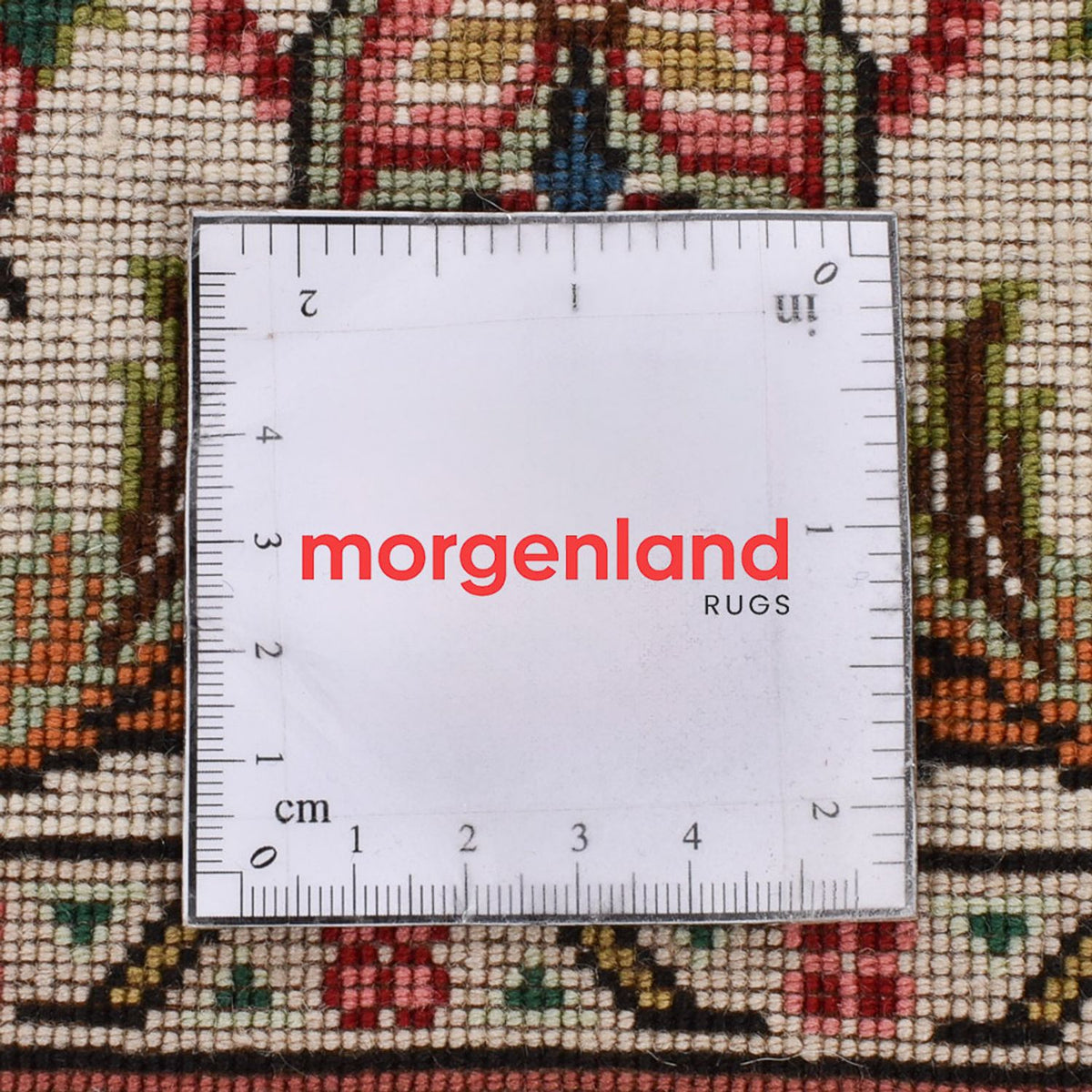 Tappeto corsia Tappeto Persero - Tabriz - Premio - 255 x 70 cm - sabbia