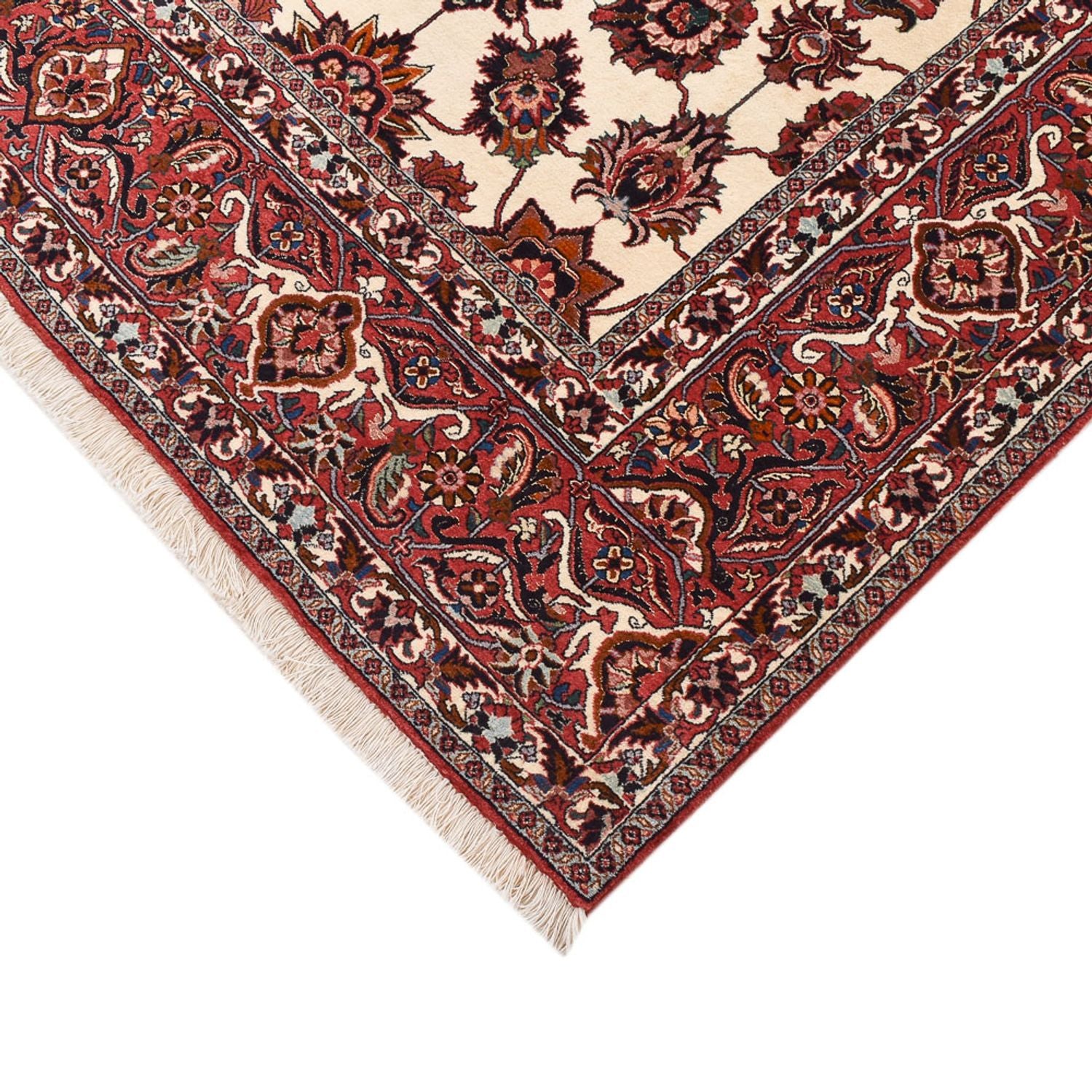 Tappeto Persero - Bidjar quadrato  - 255 x 241 cm - ruggine