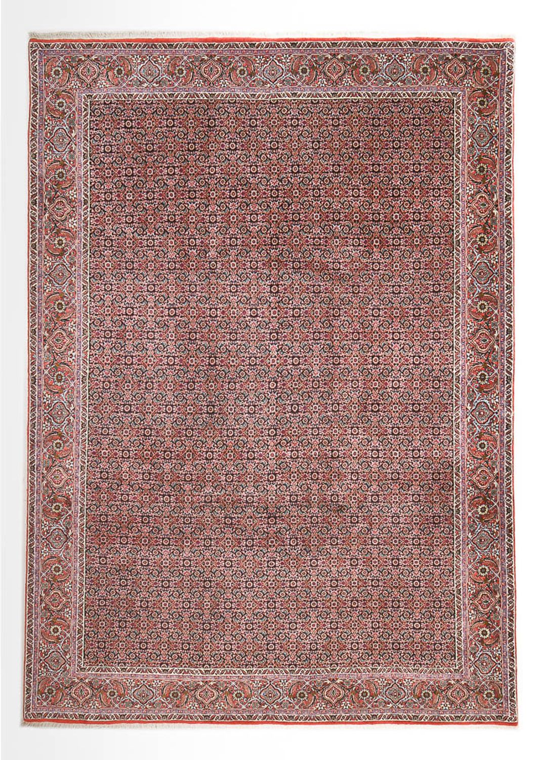 Tappeto Persero - Bidjar - 362 x 258 cm - ruggine