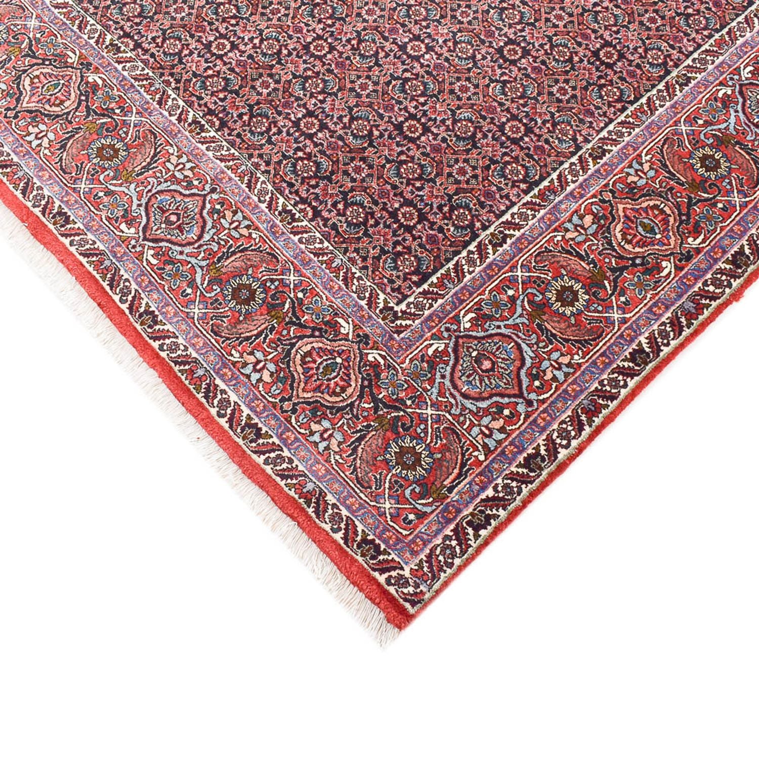 Tappeto Persero - Bidjar - 362 x 258 cm - ruggine
