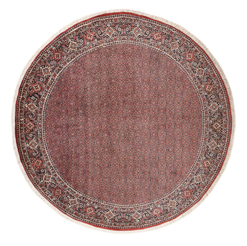 Tappeto Persero - Bidjar rotondo  - 300 x 300 cm - ruggine