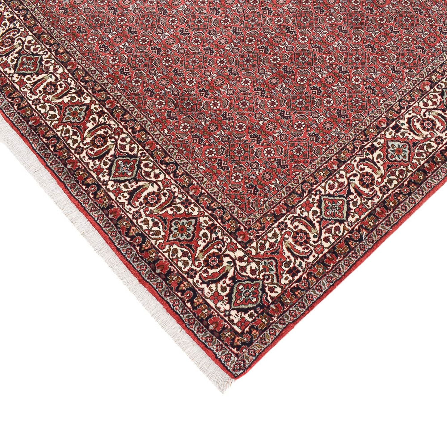 Tappeto Persero - Bidjar forma speciale  - 387 x 211 cm - ruggine