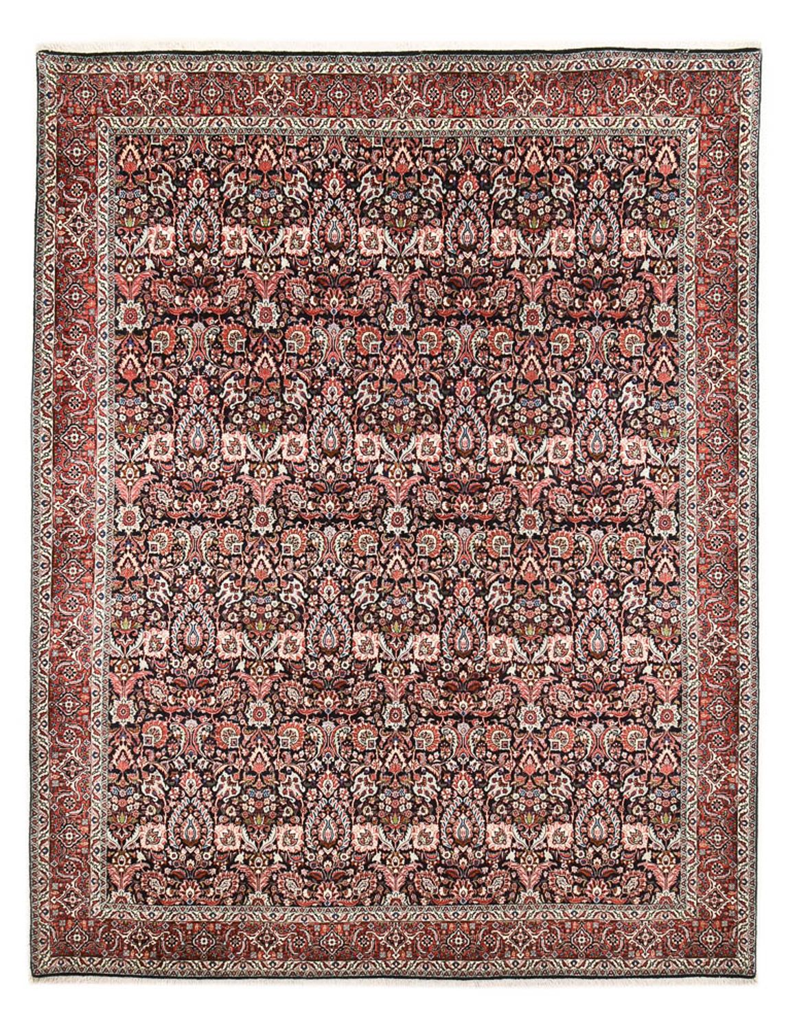 Tappeto Persero - Bidjar - 340 x 259 cm - ruggine