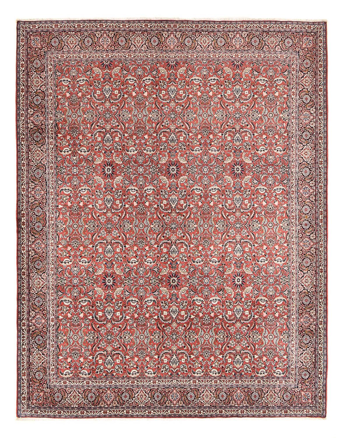 Tappeto Persero - Bidjar - 397 x 307 cm - rosso chiaro