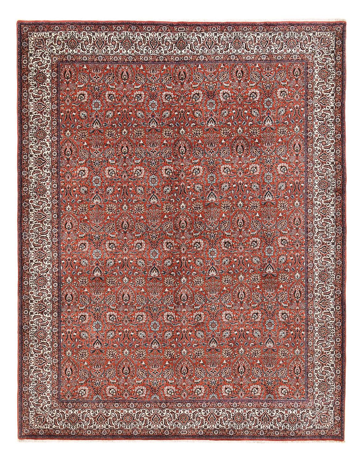 Tappeto Persero - Bidjar - 410 x 310 cm - rosso chiaro