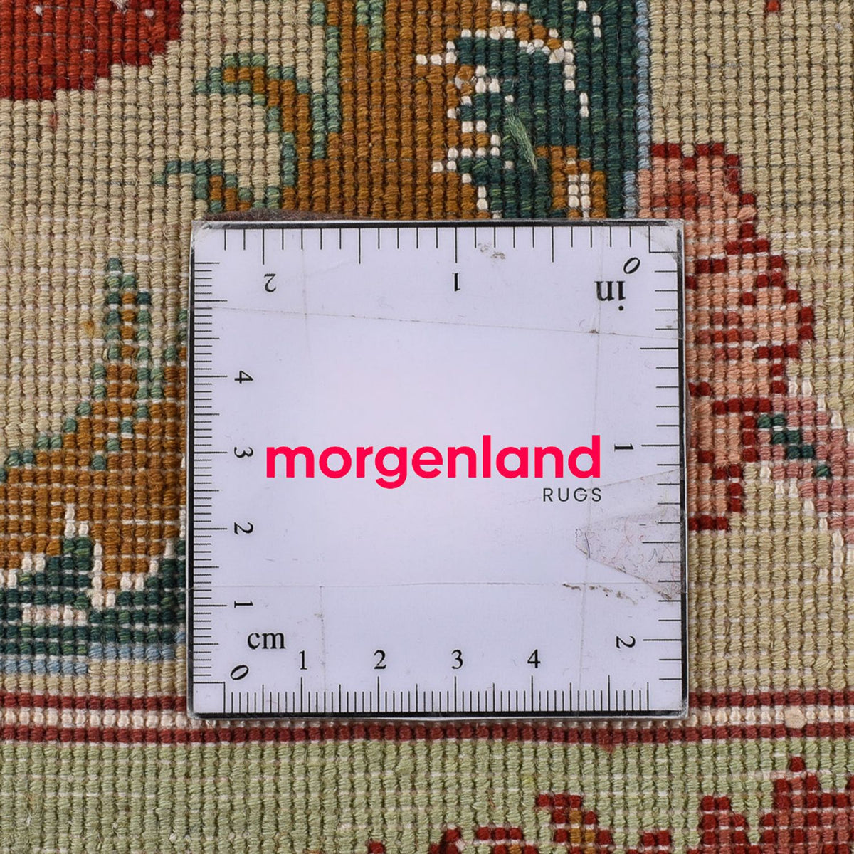 Tappeto Persero - Tabriz - Reale - 365 x 263 cm - beige