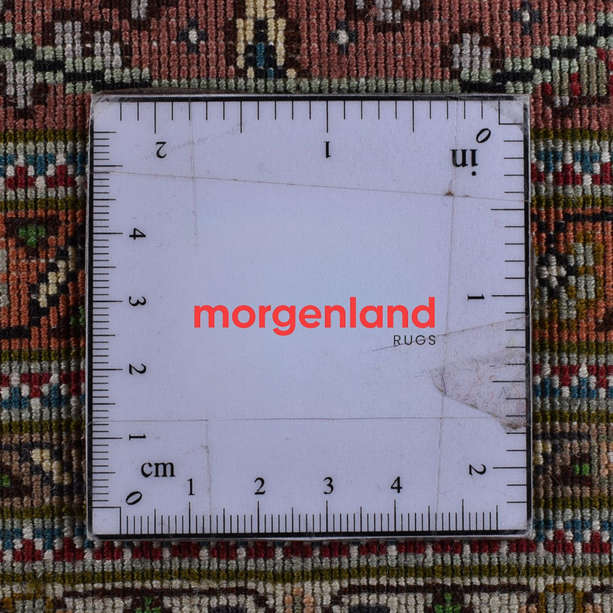 Tappeto Persero - Tabriz - Reale - 502 x 350 cm - beige chiaro