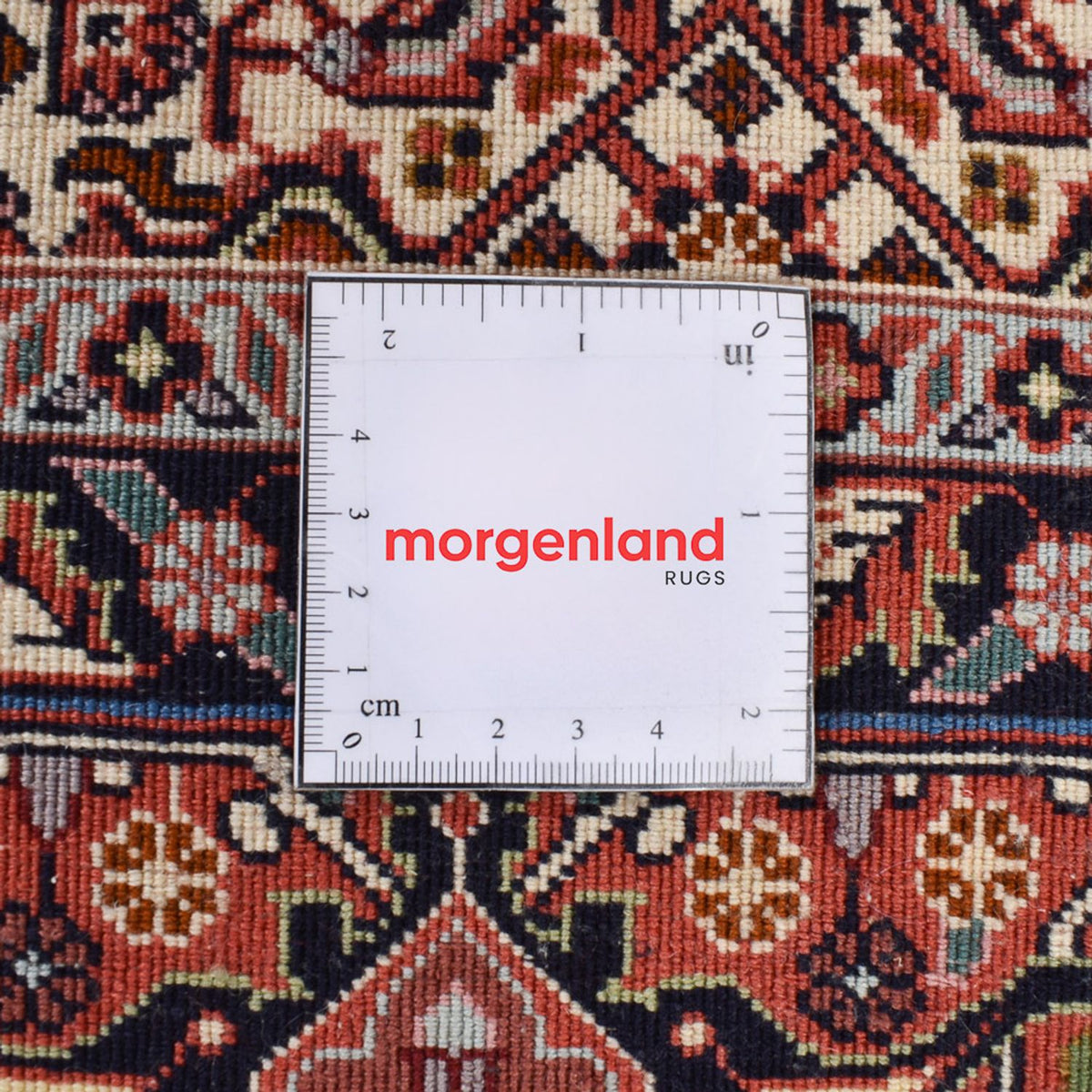 Tappeto Persero - Bidjar - 300 x 203 cm - ruggine