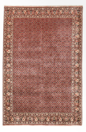 Tappeto Persero - Bidjar - 297 x 200 cm - ruggine